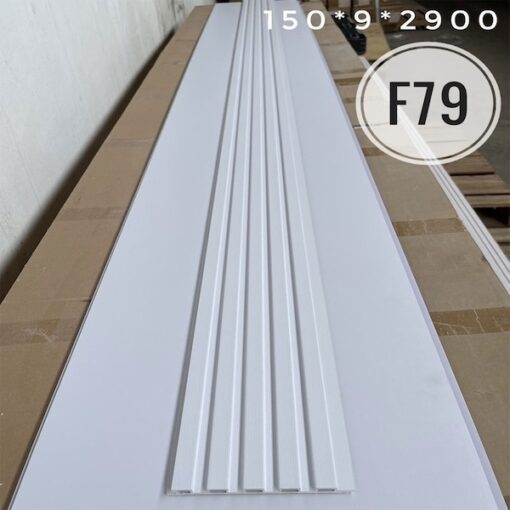 lam 5 song homesky f79