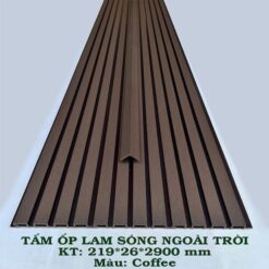 lam song ngoai troi mau coffee min 1
